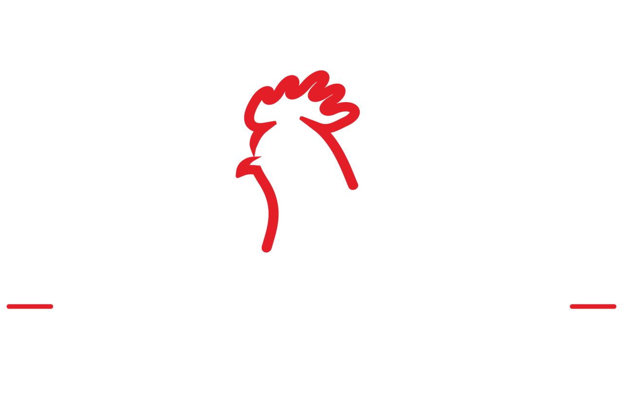 Sr. Frango da Guia